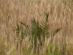 P1080345