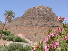 P1080350