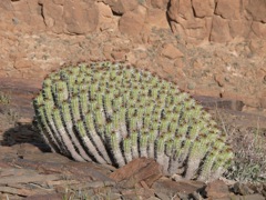 P1080371