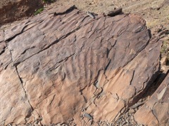 P1080378