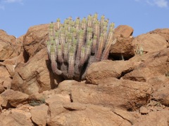 P1080382