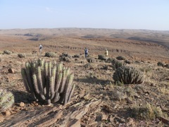 P1080387