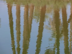P1080182