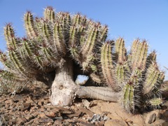 P1080389