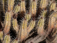 P1080391