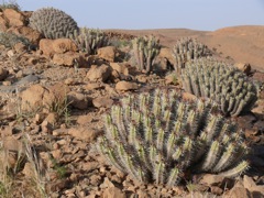 P1080393