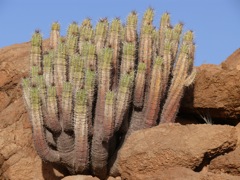P1080396