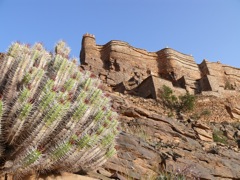 P1080412