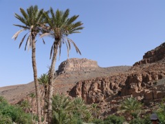 P1080428