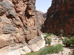P1080473