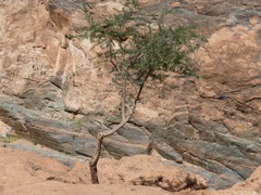 P1080475