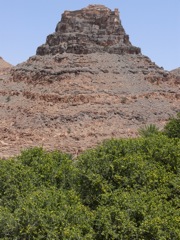 P1080485