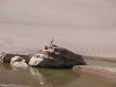 P1080168