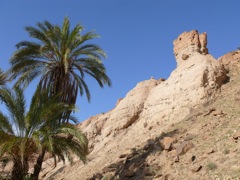 P1080221