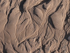 P1080228