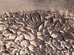 P1080229