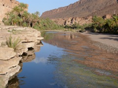 P1080241