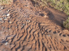 P1080256