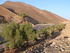 P1080265