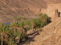 P1080267