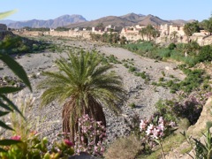 P1080271