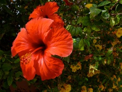 P1080318