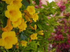 P1080320