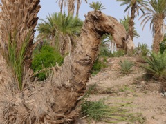 P1080330