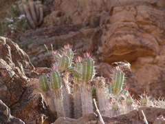 P1080743