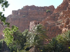 P1080749
