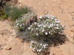 P1080766