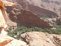 P1080778