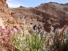 P1080788