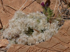 P1080791