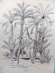 P1090128