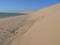 P1080572