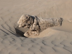 P1080583
