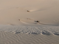 P1080594