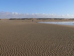 P1080603