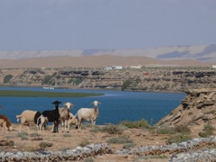 P1080637