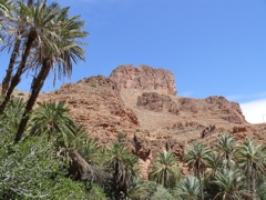 P1080696