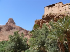 P1080703