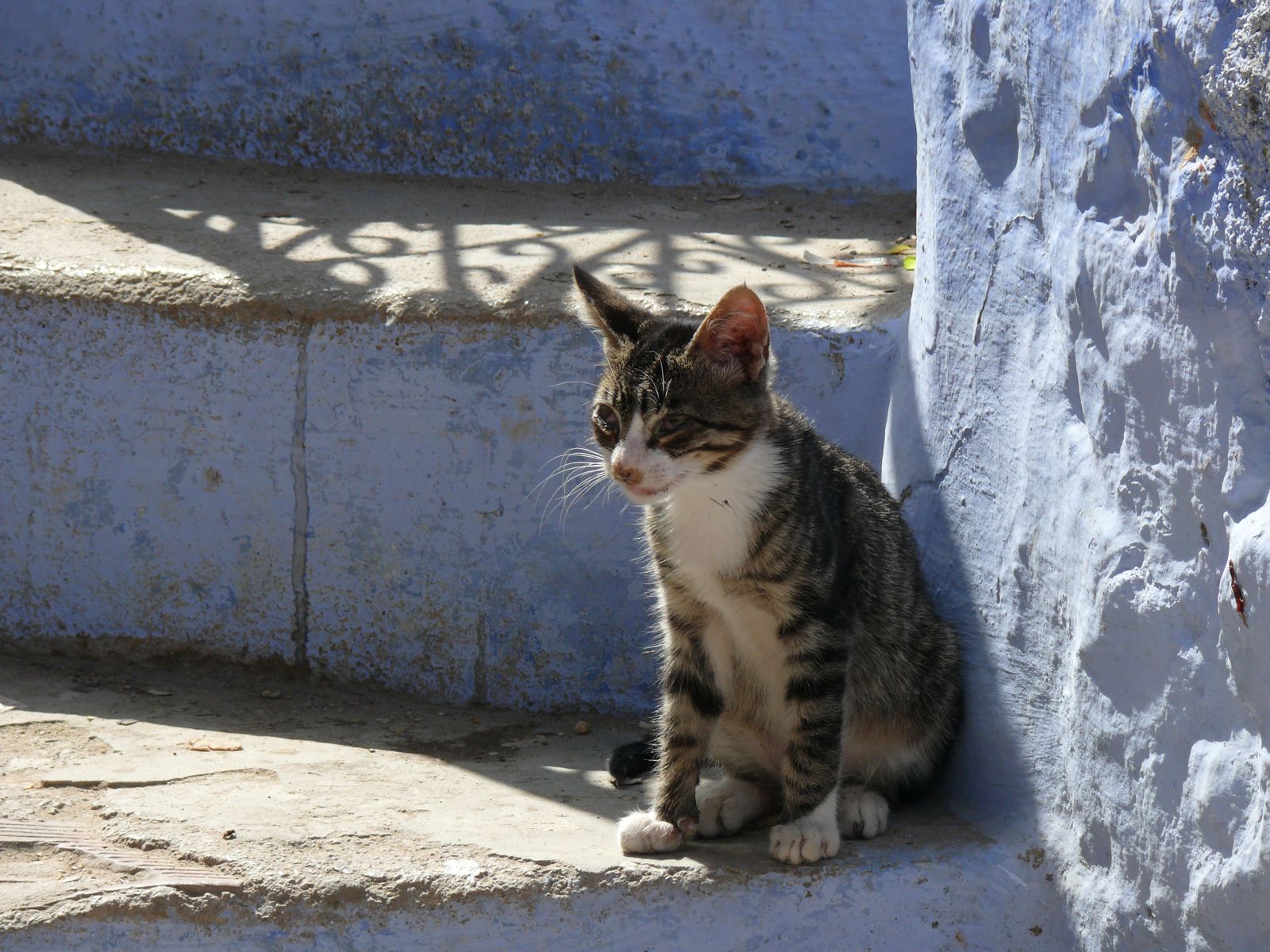 P1080975