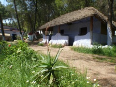 P1090031