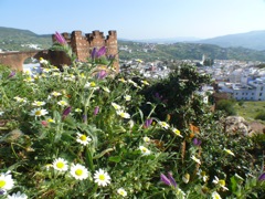 P1090035