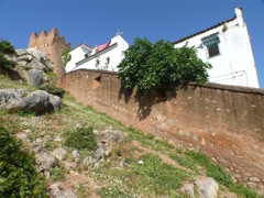 P1090036