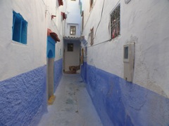 P1090047