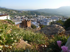 P1090116