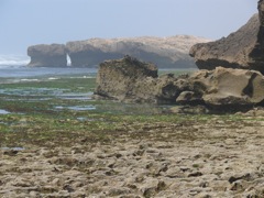P1080874