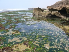 P1080880